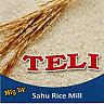 TELI (and logo) trademark logo