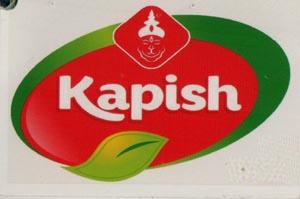 KAPISH (and logo) trademark logo