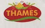 THAMES (and logo) trademark logo
