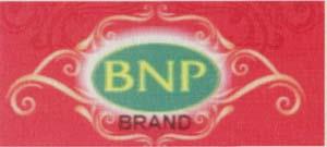 BNP (and logo) trademark logo