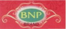 BNP (and logo) trademark logo