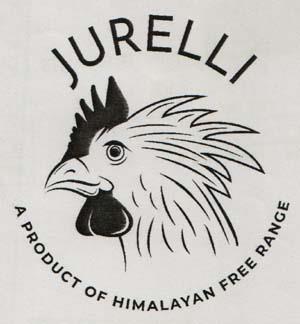 JURELLI (and logo) trademark logo