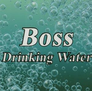 BOSS DRINKING WATER (and logo) trademark logo
