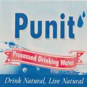 PUNIT (and logo) trademark logo