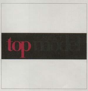 NEXT TOP MODEL (and logo) trademark logo