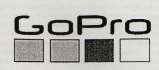 GOPRO (and logo) trademark logo