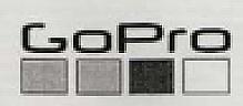 GOPRO (and logo) trademark logo