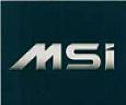 MSI (and logo) trademark logo