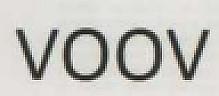 VOOV (and logo) trademark logo