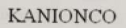 KANIONCO (and logo) trademark logo