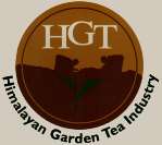 HGT (and logo) trademark logo