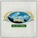 SAIPAL (and logo) trademark logo