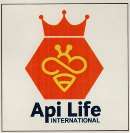 API LIFE INTERNATIONAL (and logo) trademark logo