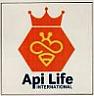API LIFE INTERNATIONAL (and logo) trademark logo