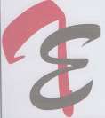 TE LOGO (and logo) trademark logo