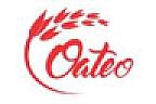 C. F. MAYAM (and logo) trademark logo