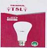 TRISHUL TSL (and logo) trademark logo