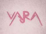 VAJRA (and logo) trademark logo