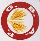G.B.A.P (and logo) trademark logo