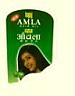 BAJAJ AMLA HAIR OIL (and logo) trademark logo