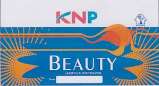 KNP BEAUTY ACRYLIC DESTERMPER (and logo) trademark logo
