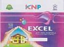 KNP EXCEL ANTI PEEL (and logo) trademark logo