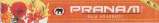 PRANAM (and logo) trademark logo