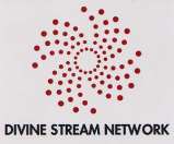 DEVINE STREAM NETWORK (and logo) trademark logo