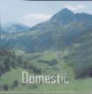 DOMESTIC (and logo) trademark logo