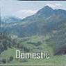 DOMESTIC (and logo) trademark logo