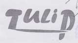 TULIP (and logo) trademark logo