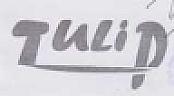 TULIP (and logo) trademark logo
