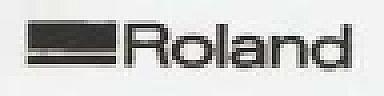ROLAND (and logo) trademark logo