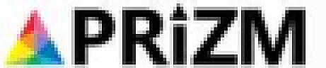 PRIZM (and logo) trademark logo