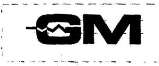 GM (and logo) trademark logo