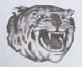 TIGERHEAD DEVICE (and logo) trademark logo
