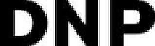 DNP (and logo) trademark logo