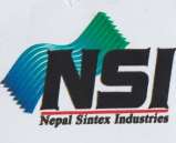 NSI (and logo) trademark logo