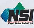 NSI (and logo) trademark logo