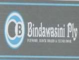 BANDABASINI (and logo) trademark logo