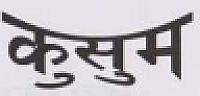KUSUM (and logo) trademark logo