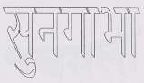 SUNGAVA (and logo) trademark logo