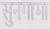 SUNGAVA (and logo) trademark logo