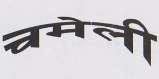 CHAMELI (and logo) trademark logo