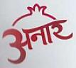 ANAR (and logo) trademark logo