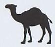 CAMEL (and logo) trademark logo