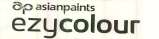 COLOUR SPECTRA PRO (and logo) trademark logo