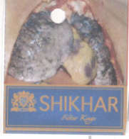 SHIKHAR FILTER KINGS (and logo) trademark logo