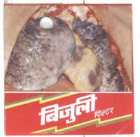 BIJULI FILTER (in Devanagari) (and logo) trademark logo