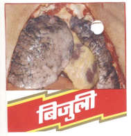 BIJULI (in Devanagari) (and logo) trademark logo
